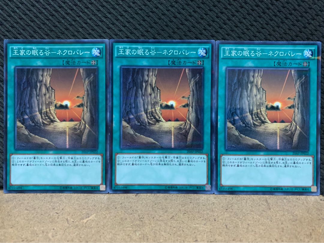 【ぽぽたん】遊戯王 8975 王家の眠る谷-ネクロバレー  3枚 ノーパラ