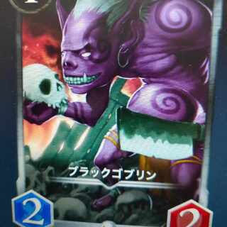 2枚組ブラックゴブリン（シルバー）バラ可