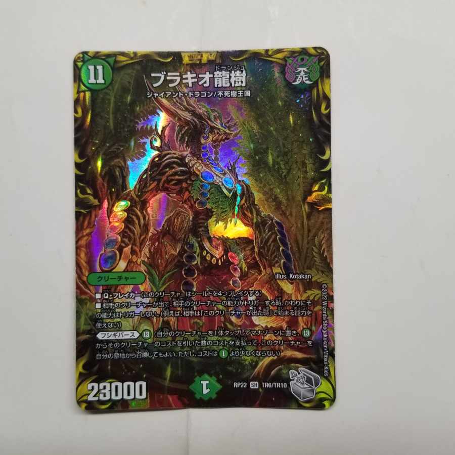 Ryuki Brachio SR S5/S11