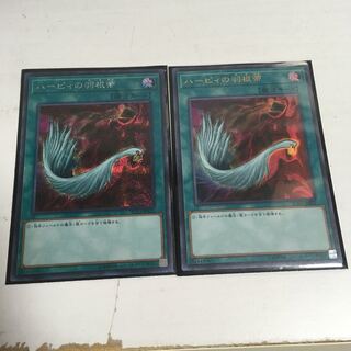 ★ハーピィの羽根箒　シク&ウル★