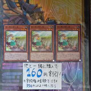 Seedlings and haze vernalization spirit normal JP026 [naturals, etc.