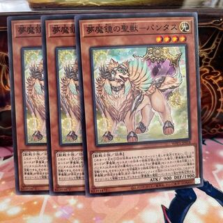 No.843 P shop Nightmare mirror holy beast - Pantus [no