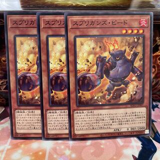 No.341 P屋 Springans Pedor [no