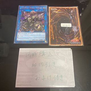 鎖龍蛇-スカルデット　英語　19668