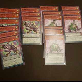 Acoustic Warrior Deejesus Gita Squirrel 1枚