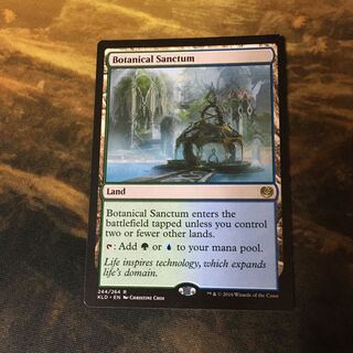 Botanical Sanctum Rare 244/264