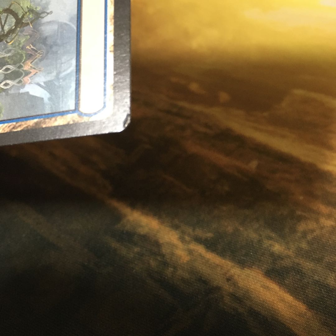 Botanical Sanctum Rare 244/264