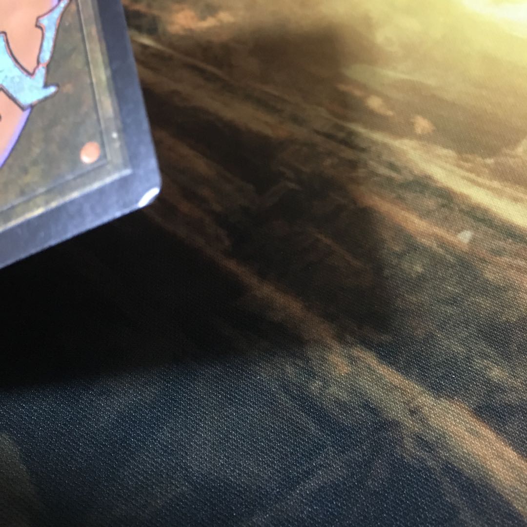 Botanical Sanctum Rare 244/264