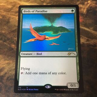 Birds of Paradise Rare 176/221