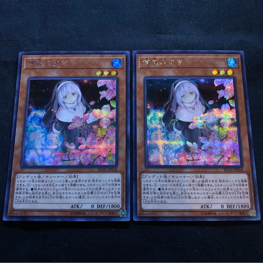 儚無みずき 絵違い シークレットレア 2枚