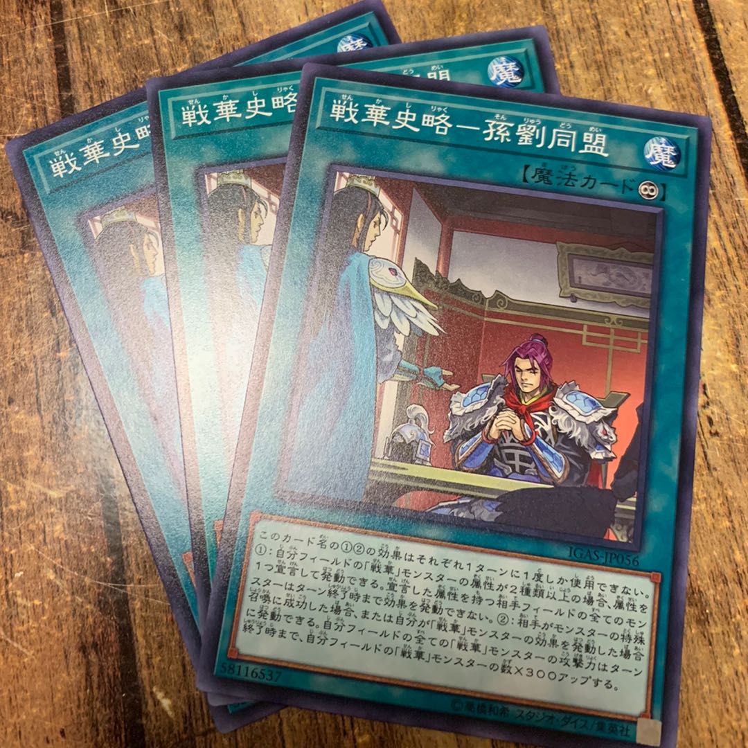 No.288_戦華史略ー孫劉同盟