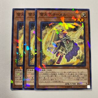 The Weather Painter Thunder Parallel Normal JP033 1枚