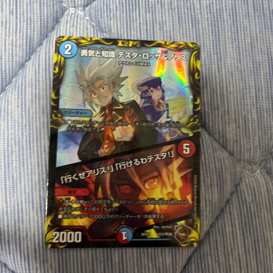 Courage and Knowledge Testa Rossa & A Squirrel｜"Let's go, A Squirrel!" "I can go, Testa!" (20th Copper Treasure) TF2/TF20 1 piece