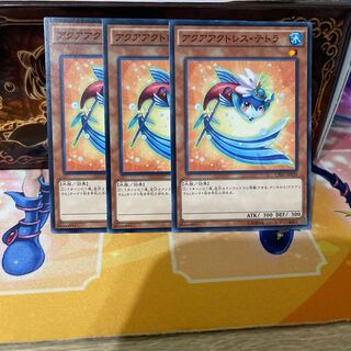 No.386 P屋　アクアアクトレス・テトラ 【ノー】