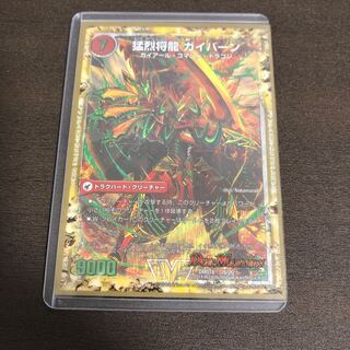 Shoryu Ken Gaiairu|Raging Shoryu Gaiban (Super Deck Spec.) VIC 2a/20|2b/20