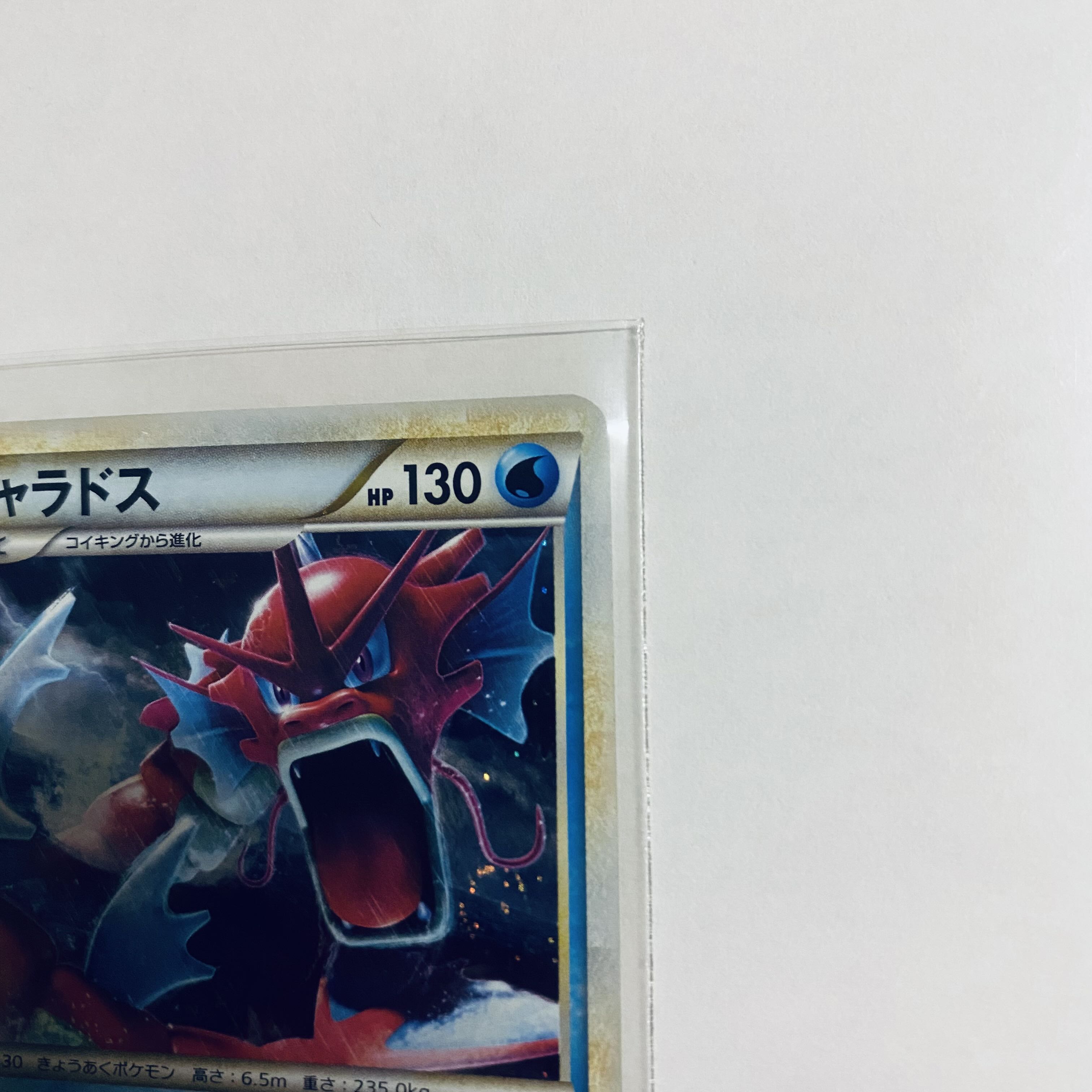 Gyarados Promo