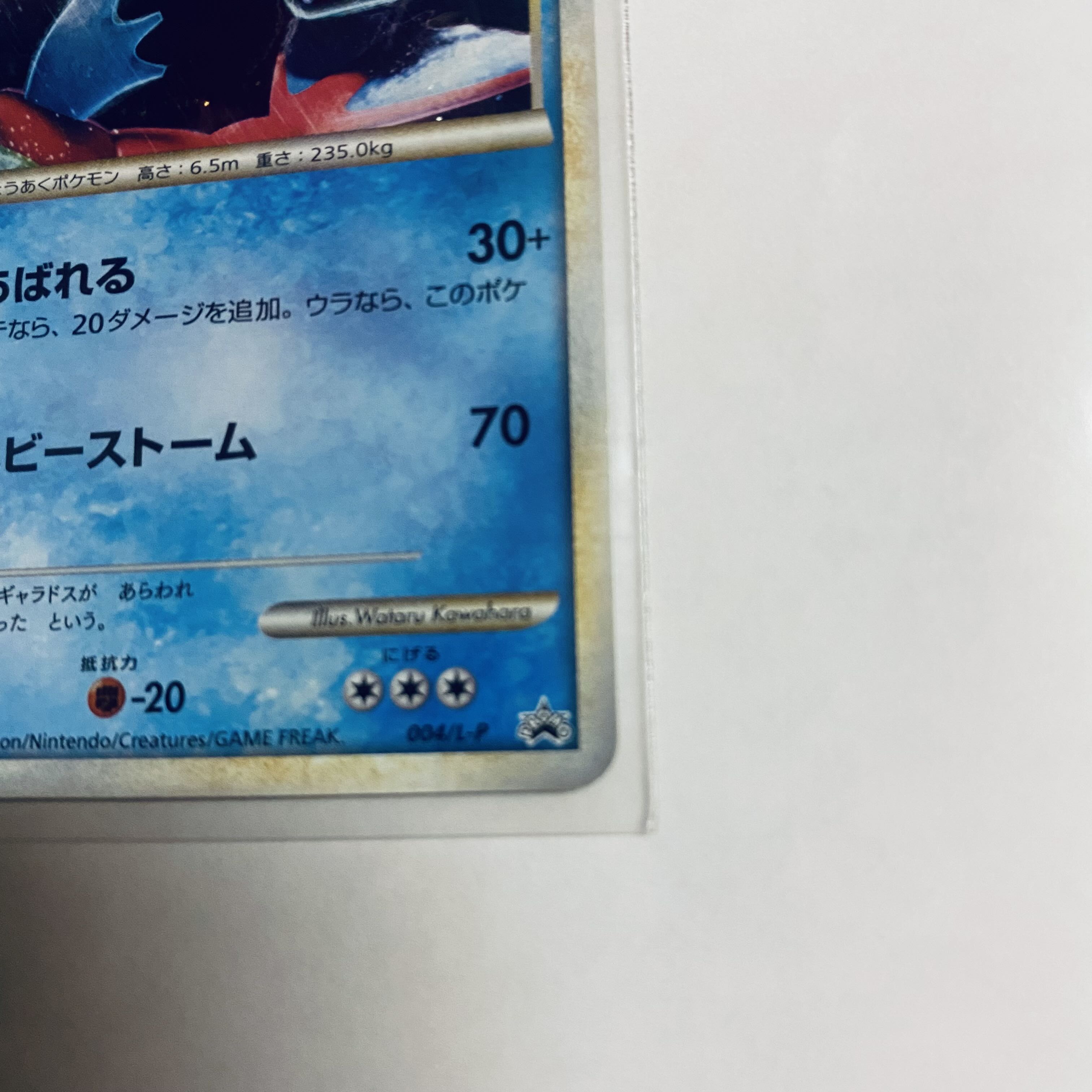 Gyarados Promo