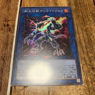 No.310_転生炎獣サンライトウルフ