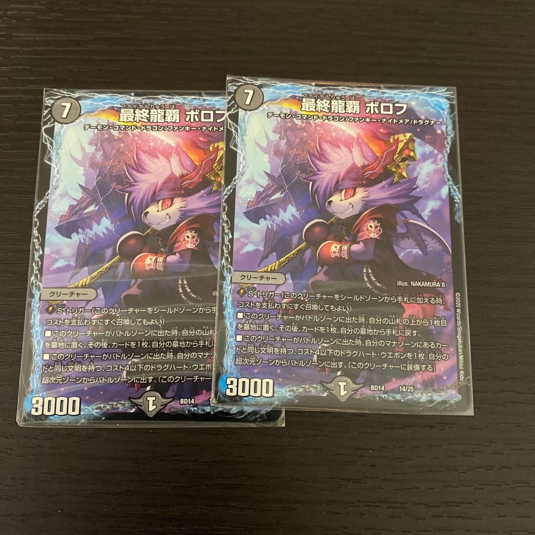 Final Dragon Heights Borov 14/25