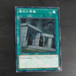 Preparation of Rites Normal JP042✕3 [Mokurindo].