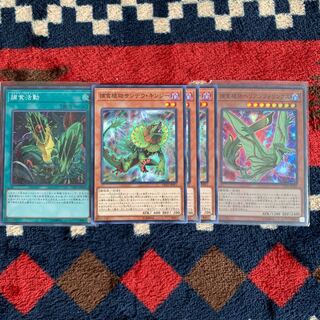 遊戯王 捕食植物 1枚