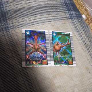 Insect King Disconnection Sale