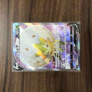 ワタシラガV SR 097/096