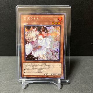 Ash Blossom & Joyous Spring Secret