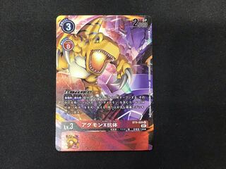 アグモンx抗体　パラレル