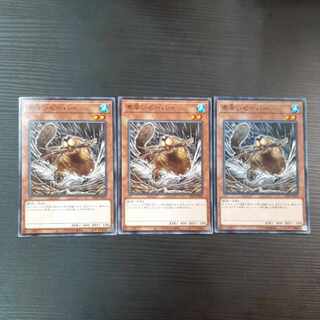 Nimble Beaver Normal rare JP040