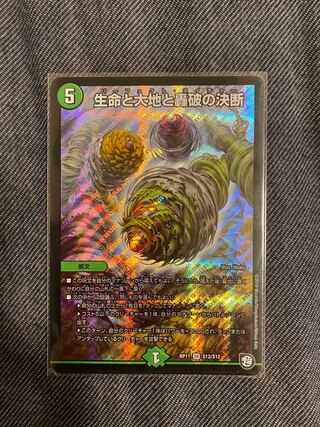 Life Life, Earth and Roaring Decision SR S12/S12