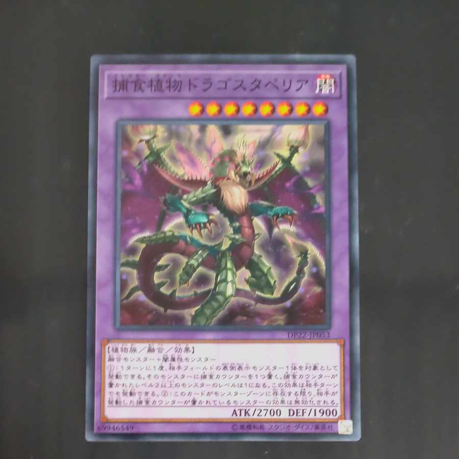 Predaplant Dragostapelia Normal JP053 [Mokurindo