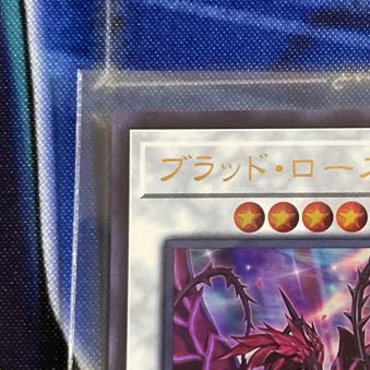 Ruddy Rose Dragon Ultra Rare JP035