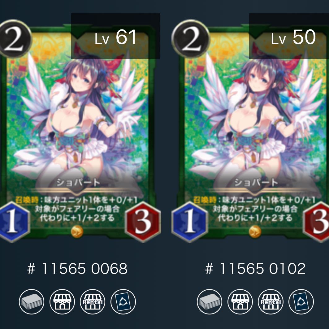 【2枚スピあり】ショパート