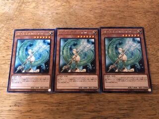 【ダボハゼ】煌々たる逆転の女神