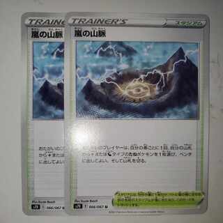 嵐の山脈 2枚セット