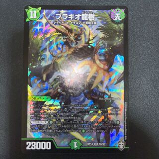 Ryuki Brachio SR S5/S11