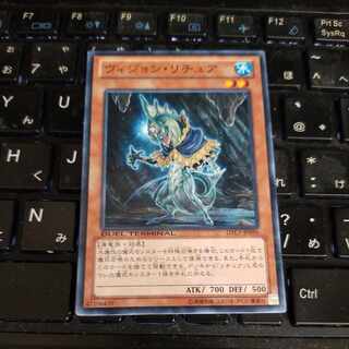 Gishki Vision Normal JP096 1枚