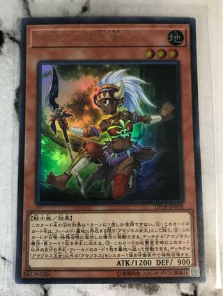 Amazoness Princess Ultra Rare JP008