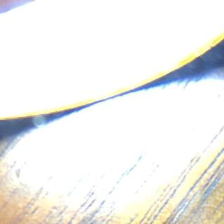 光が反射してみえねえよオリバ