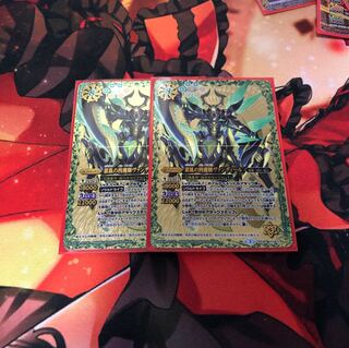 ヴァンディール 2枚セット 2枚