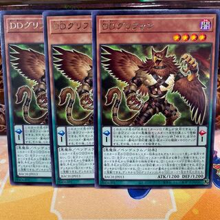 No.877 P shop DD griffon [Rare