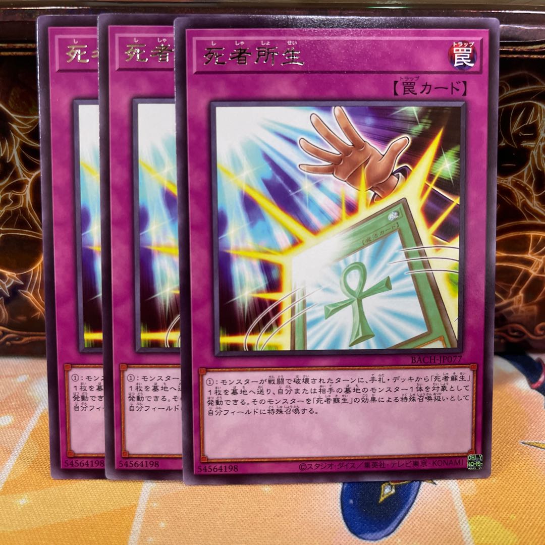 No.669 P shop: Life of the dead place [Rare