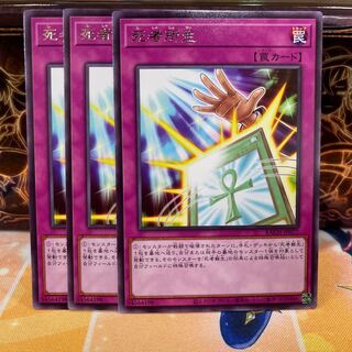 No.669 P屋　死者所生 【レア】