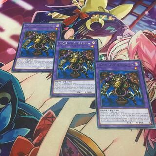 韓国　サウザンドアイズサクリファイス