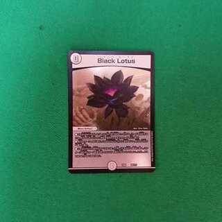 Black Lotus　ブラックロータス