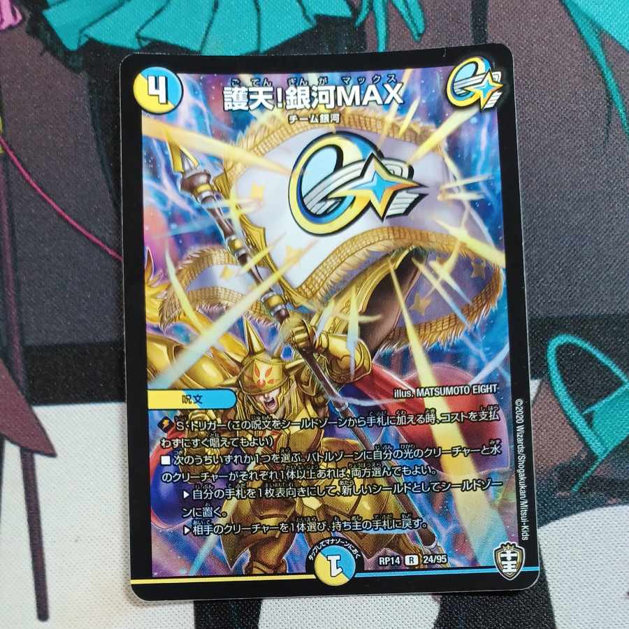 Proten! Ginga MAX R 24/95