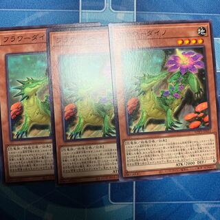 Flower dyno normal JP031