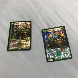 武家類武士目 ステージュラ