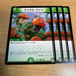 ASHIDAKE LIFE R 20/95